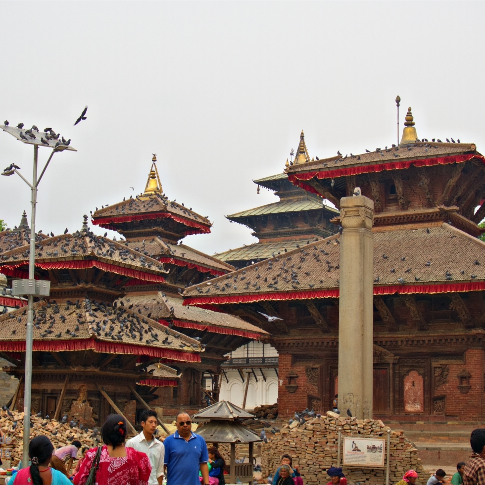 Buddhist or Hindu temples in Kathmandu, Nepal. The roofs are covered in pigeons. Evidence of last year's eartquake show in beams holding up walls and piles of loose brick stacked in front of the temples.